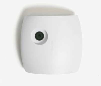 Whiteboard Owl Teaser