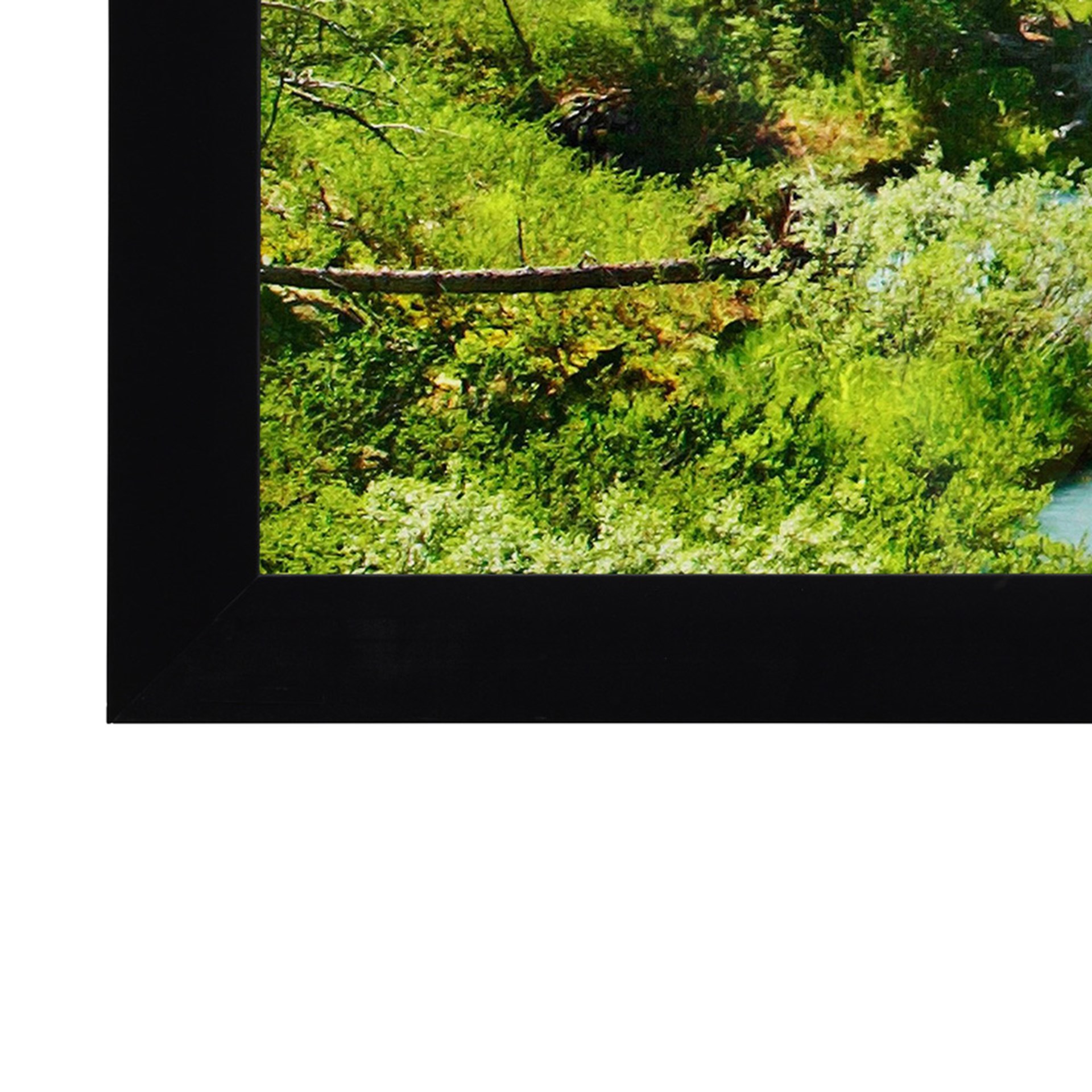 Homescreen Deluxe Frame DL